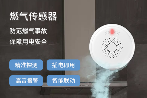 燃气传感器